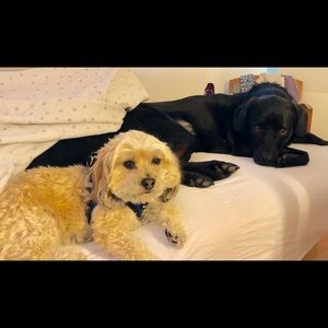 Meet your Posher, Laura